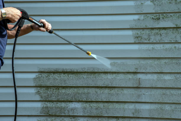 Best Post-Construction Pressure Washing  in Palo, IA