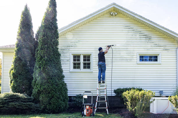 Spring Cleaning in Palo, IA